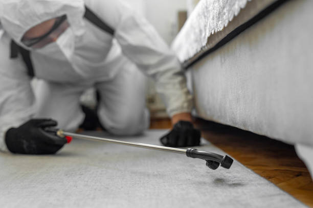 Professional Bed Bug Control technician working in Astoria, OR