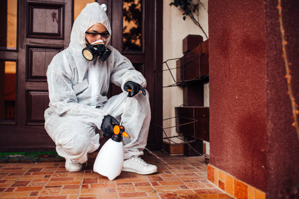 Reliable Bed Bug Control contractor in Astoria, OR by Nex Pest Control
