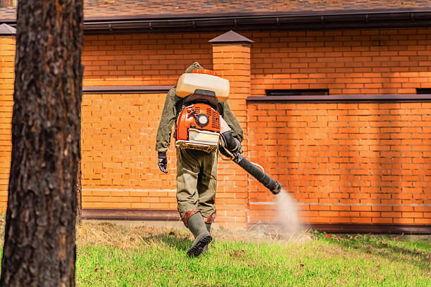 Trusted Termite Control service in Astoria, OR - Nex Pest Control